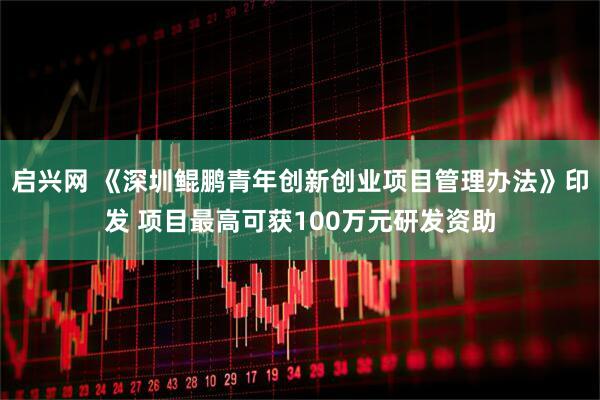 启兴网 《深圳鲲鹏青年创新创业项目管理办法》印发 项目最高可获100万元研发资助