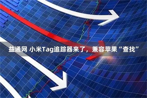 益通网 小米Tag追踪器来了，兼容苹果“查找”