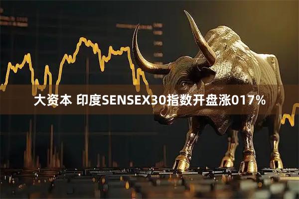 大资本 印度SENSEX30指数开盘涨017%
